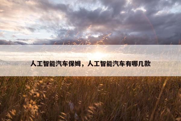 人工智能汽车保姆，人工智能汽车有哪几款