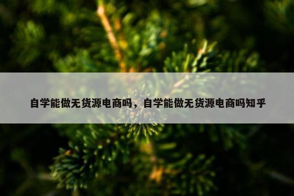 自学能做无货源电商吗，自学能做无货源电商吗知乎