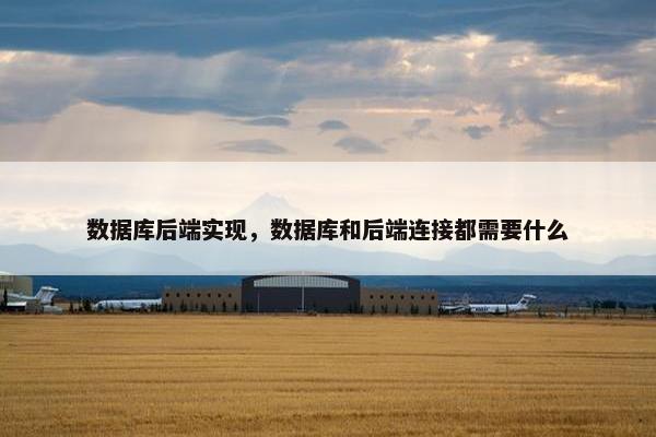 数据库后端实现，数据库和后端连接都需要什么