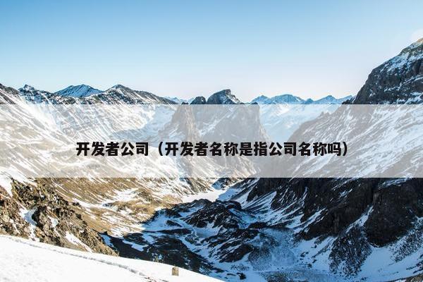 开发者公司（开发者名称是指公司名称吗）