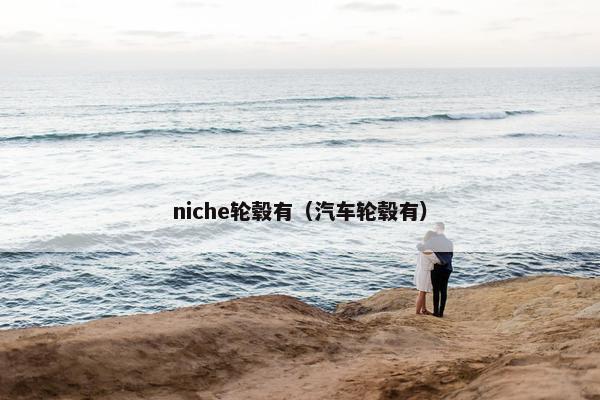 niche轮毂有（汽车轮毂有）