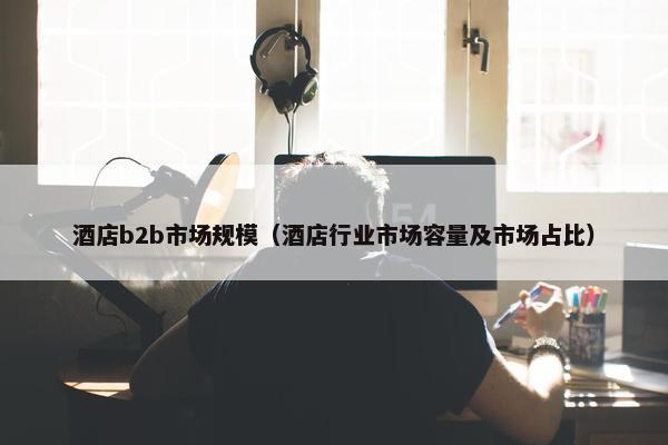 酒店b2b市场规模（酒店行业市场容量及市场占比）