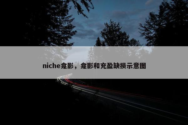 niche龛影，龛影和充盈缺损示意图