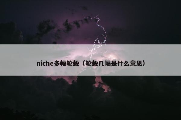 niche多幅轮毂（轮毂几幅是什么意思）