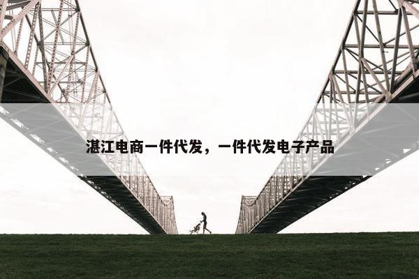 湛江电商一件代发，一件代发电子产品