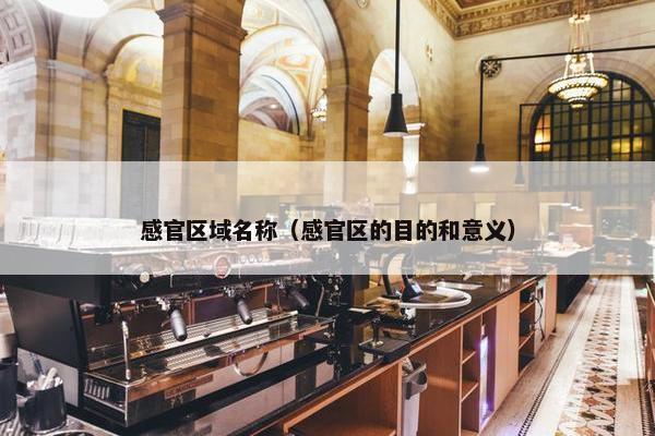 感官区域名称（感官区的目的和意义）