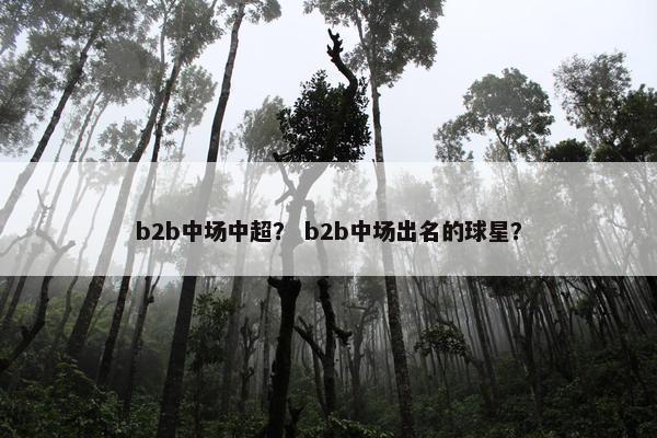 b2b中场中超？ b2b中场出名的球星？