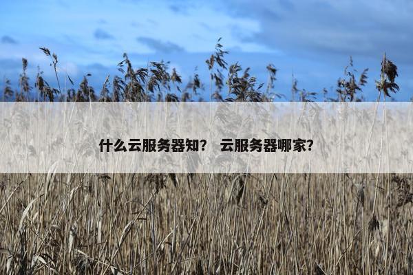 什么云服务器知？ 云服务器哪家？