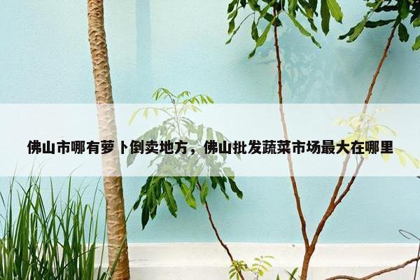佛山市哪有萝卜倒卖地方，佛山批发蔬菜市场最大在哪里