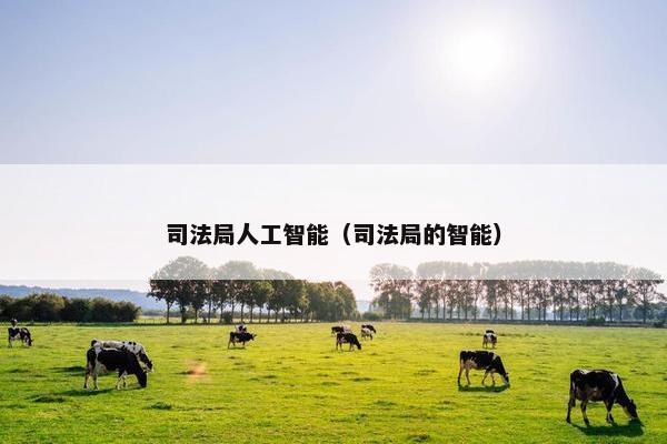 司法局人工智能（司法局的智能）