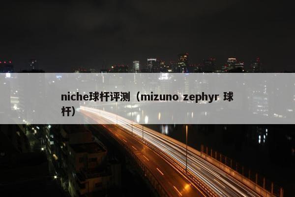 niche球杆评测（mizuno zephyr 球杆）