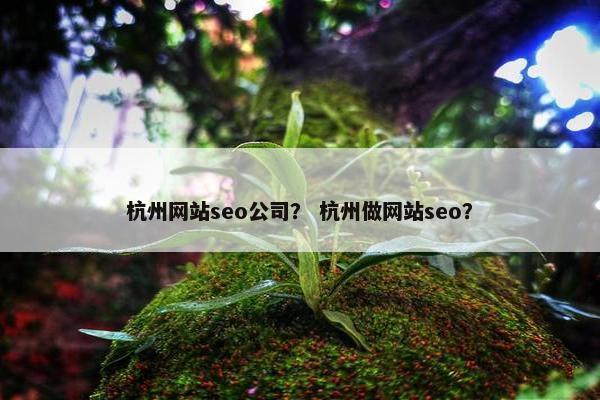 杭州网站seo公司？ 杭州做网站seo？