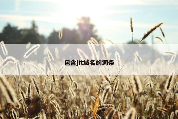 包含jit域名的词条