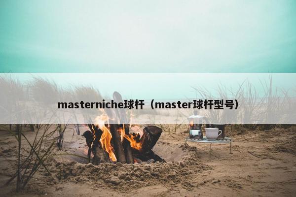 masterniche球杆（master球杆型号）