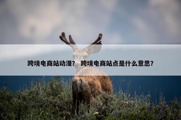 跨境电商站动漫？ 跨境电商站点是什么意思？