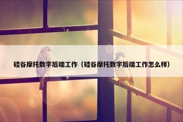 硅谷摩托数字后端工作（硅谷摩托数字后端工作怎么样）