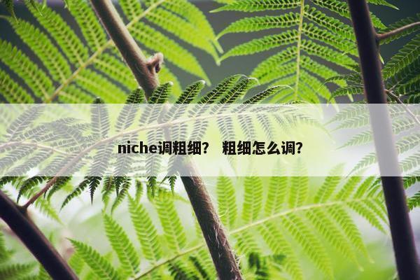 niche调粗细？ 粗细怎么调？