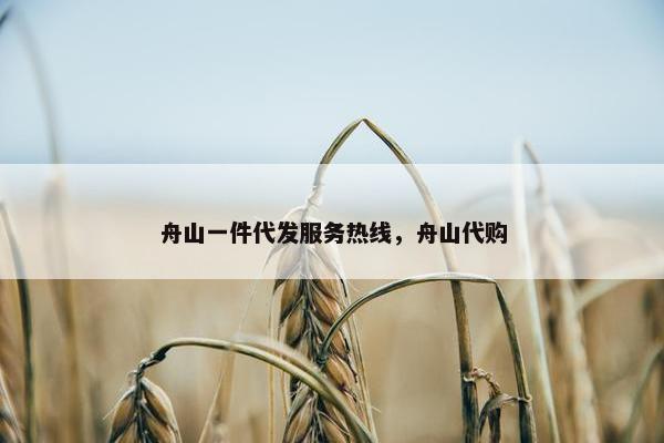 舟山一件代发服务热线，舟山代购