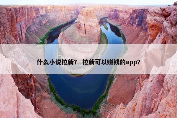 什么小说拉新？ 拉新可以赚钱的app？