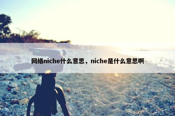 网络niche什么意思，niche是什么意思啊