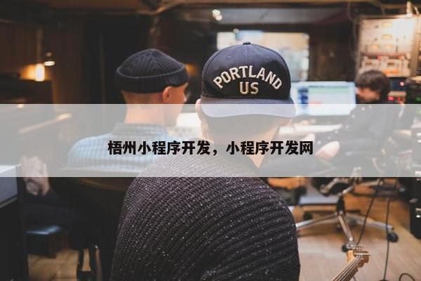 梧州小程序开发，小程序开发网