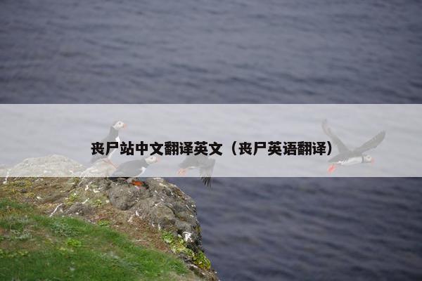 丧尸站中文翻译英文（丧尸英语翻译）