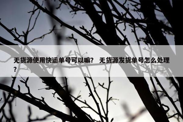 无货源使用快运单号可以嘛？ 无货源发货单号怎么处理？