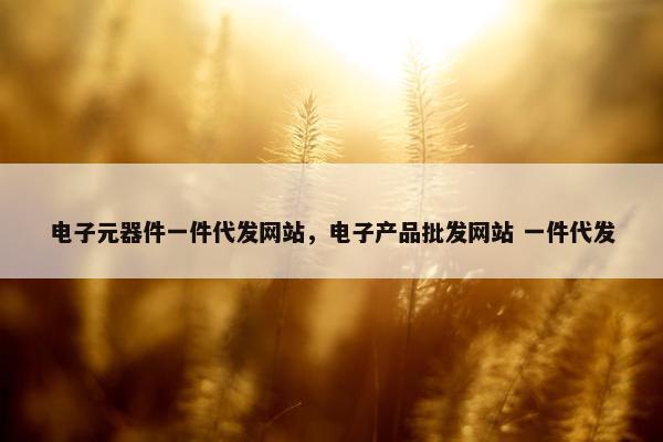 电子元器件一件代发网站，电子产品批发网站 一件代发