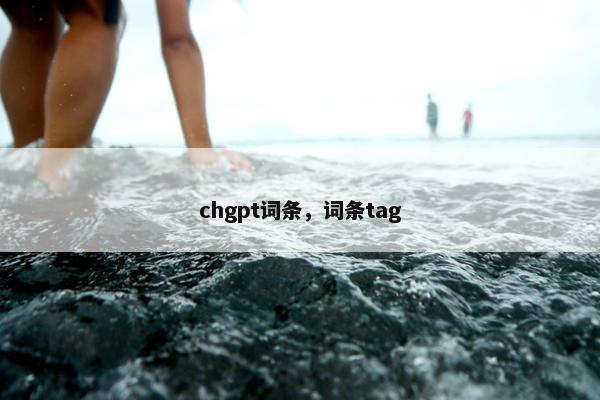 chgpt词条，词条tag