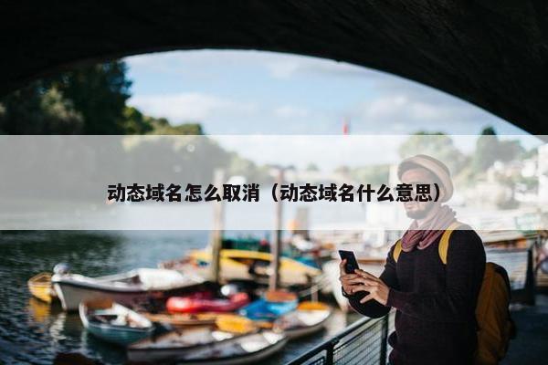 动态域名怎么取消（动态域名什么意思）