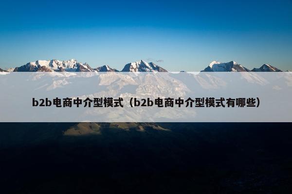 b2b电商中介型模式（b2b电商中介型模式有哪些）