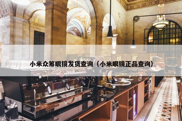 小米众筹眼镜发货查询（小米眼镜正品查询）