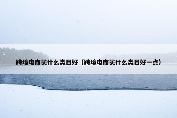 跨境电商买什么类目好（跨境电商买什么类目好一点）