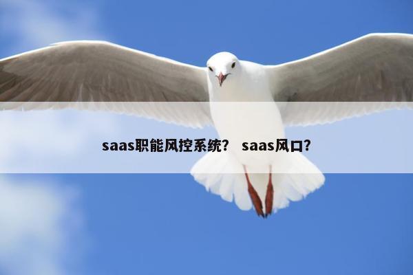 saas职能风控系统？ saas风口？