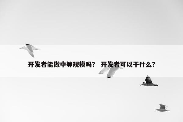 开发者能做中等规模吗？ 开发者可以干什么？