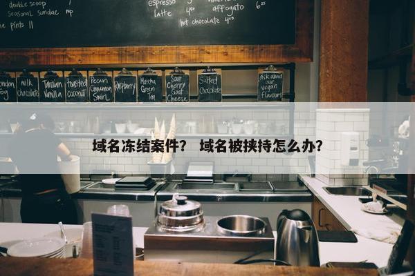 域名冻结案件？ 域名被挟持怎么办？