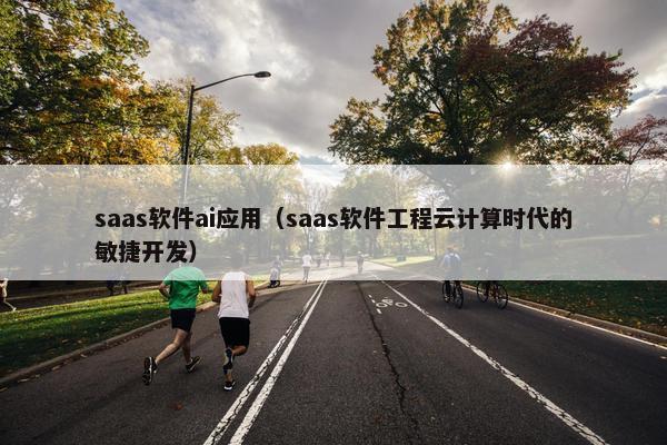 saas软件ai应用（saas软件工程云计算时代的敏捷开发）
