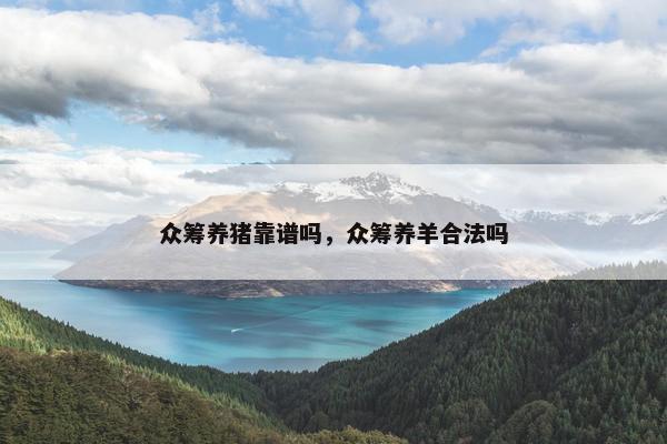 众筹养猪靠谱吗，众筹养羊合法吗