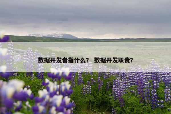 数据开发者指什么？ 数据开发职责？
