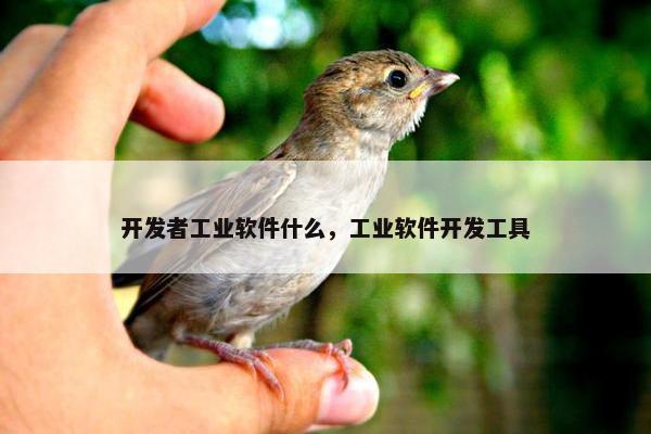 开发者工业软件什么，工业软件开发工具