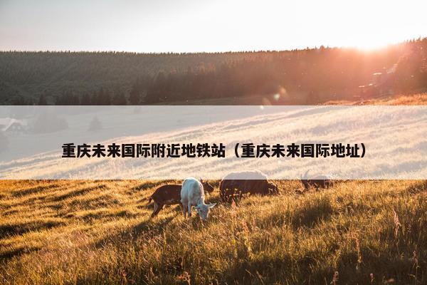 重庆未来国际附近地铁站（重庆未来国际地址）
