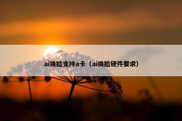 ai换脸支持a卡（ai换脸硬件要求）