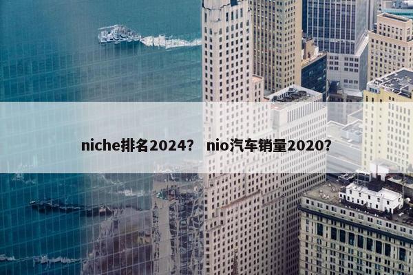 niche排名2024？ nio汽车销量2020？