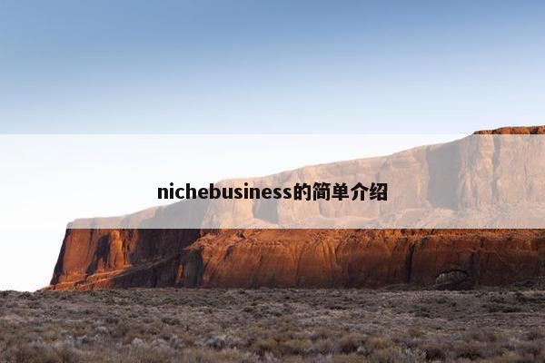nichebusiness的简单介绍