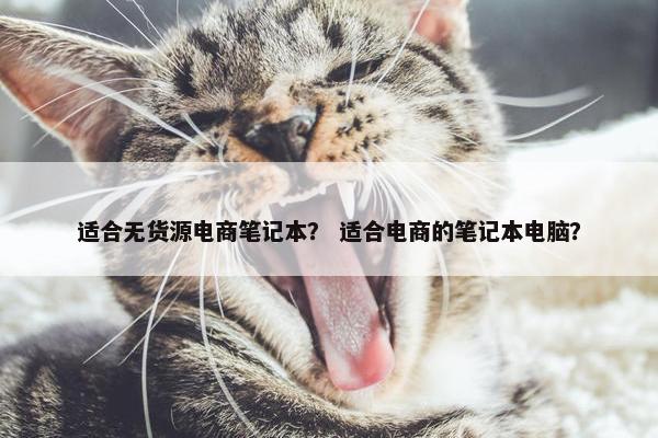 适合无货源电商笔记本？ 适合电商的笔记本电脑？
