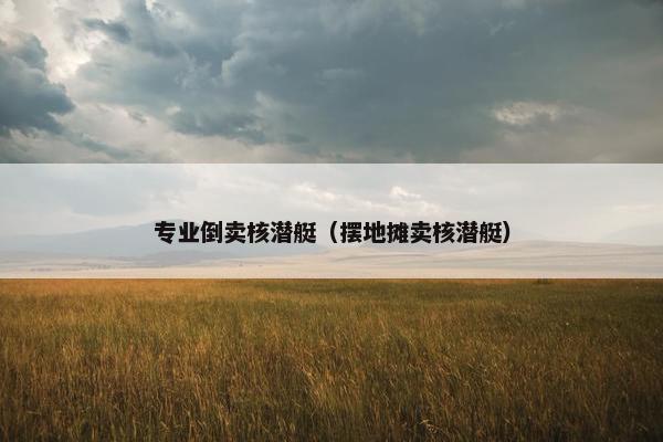 专业倒卖核潜艇（摆地摊卖核潜艇）