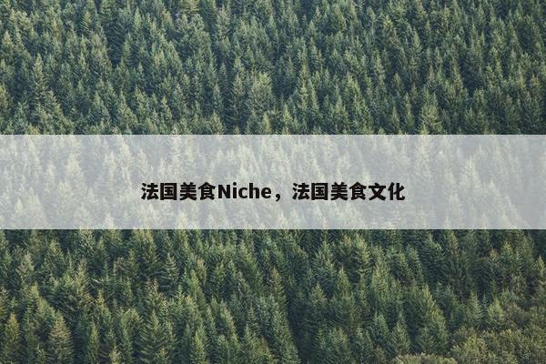 法国美食Niche，法国美食文化