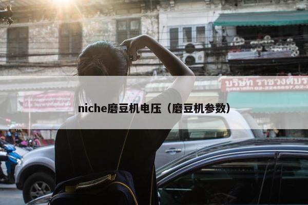 niche磨豆机电压（磨豆机参数）