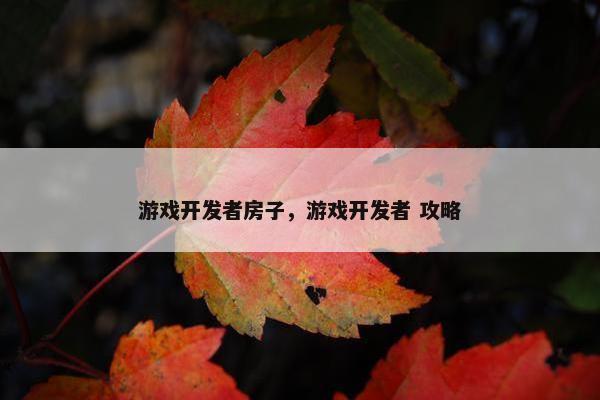 游戏开发者房子，游戏开发者 攻略