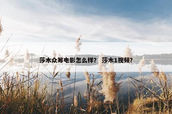 莎木众筹电影怎么样？ 莎木1视频？